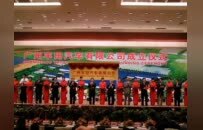 合资28年，广汽被吸干了“精气”