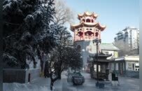 尔滨雪落“极乐净土”，凭啥火出了圈？丨厦门云游寺院摄影展