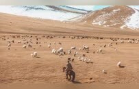 蒙古国70%国土已荒漠化，大量牧民破产流落首都，风沙正影响中国