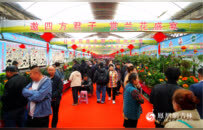 第十八届中国长春君子兰节开幕