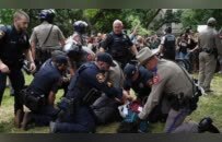 “挺巴”抗议席卷全美高校，示威者遭暴力对待：看看你们的警察是怎么对待民众的？