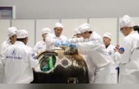 中国带回来的月壤，要不要给NASA？
