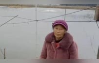 湖南农妇挖塘养鱼被控“土地犯罪”，涉案土地早已抛荒数10年