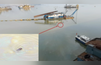 中央督察组暗访发现小江豚被困油污，当地官员：绝对不可能是江豚！它只是条大青鱼
