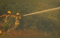 这场大火致137死，嫌犯竟是消防员与林业官