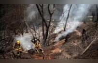 这场大火致137死，嫌犯竟是消防员与林业官