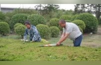 河南新乡：抗旱护绿 避免古树得上“高温病”