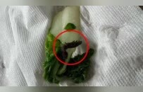 上海一学校食堂被指“食材过期、调料发霉、菜中吃出蜗牛”，家长称76名学生肠胃不适，官方回应