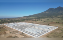 日渐“特朗普化”的美国媒介生态中，一棵“新闻常青树”正在枯萎