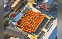 晋中和顺：让秋收的喜悦在冬日延续……