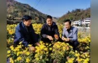 回眸2025丨将自身发展融入国家发展大局，中国人寿交出“三有”年度答卷