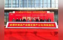 金德利主食化项目奠基，打造全链高品质主食生产基地