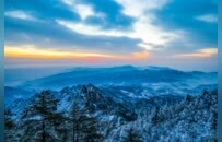 鲁山县：尧山春雪春色晚 雾凇凝枝似琼花