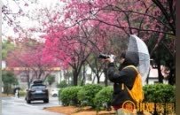 走进南昌的“花花世界” 解密繁花背后的科技力量