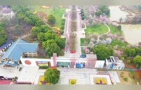 南昌县凤凰沟樱花盛开春意浓（图）