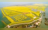 以深化改革促进乡村特色产业发展