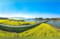春满中国·江豚湾 水墨丹青映湖口