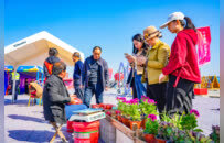 “寻美·青岛西海岸”暨大场镇“十年莓好·共富新程”第十届草莓节启幕
