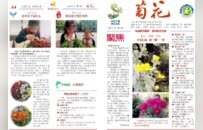 入围省赛终评，徐州云龙是他们→