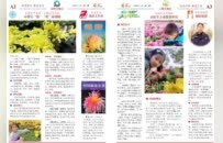 入围省赛终评，徐州云龙是他们→