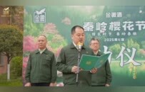 2025第七届金徽酒秦岭樱花节盛大启幕