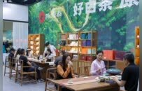现场直击！2025中国景德镇茶生活博览会开幕