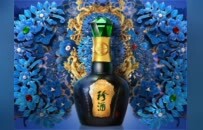 旗舰豪车全城寻锦鲤！贵州珍酒·珍三十“城市锦鲤”开启礼盒巡游