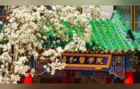 五问舆论漩涡中的“协和‘4+4’模式”：是否公平，如何合格？