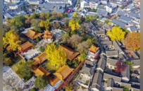 彭城七里：城市IP撬动下的“经济新脉”