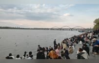 哈尔滨松花江畔江鸥被五一游客喂胖了？有关专家：适度投喂影响不大