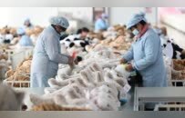 关税闹剧让美国人过节难