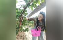 沛县：家庭农场激活乡村振兴增收密码