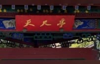 济南趵突泉“猪锦鲤”减肥成功了吗？工作人员：还是很肥