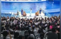 从一组“五一”数据看徐州文旅成色