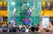 “美人鱼”溺水背后，被忽视的高危表演