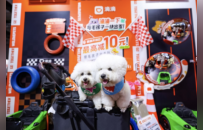 滴滴开放日聚焦宠物出行：多宠用车、大型犬用车、远距离用车都有解答