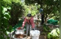 抚州临川区西湖绿洲香逸园小区绿地变“鸡场”？相关部门：立即拆除
