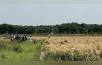 庄稼被踩踏、垃圾扔麦田，谁在暴力打卡？