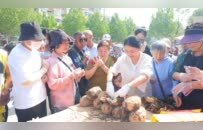 召陵区：非遗传承进社区 文旅消费添活力