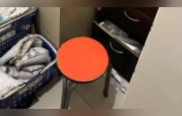折叠城市中，保洁员“非必要不休息”