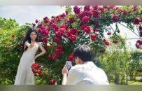 共青城：花圃基地繁花似锦惹人醉（图）