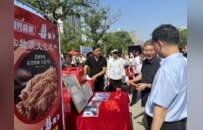 召陵区：非遗传承进社区 文旅消费添活力