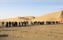 中国人在沙漠种的10万株玫瑰，开花了！网友：顶级浪漫，却看得泪目