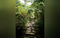 吴越古道上的黄檗道场 | 吴越黄檗踪迹