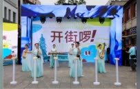 第四届湖南旅游发展大会丨重塑千年文脉 再现巴陵盛景 岳阳楼历史文化保护利用示范片区开街
