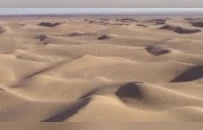 中国人在沙漠种的10万株玫瑰，开花了！网友：顶级浪漫，却看得泪目