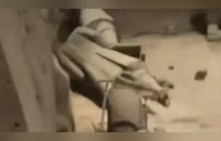 男子掉进西安兵马俑三号坑，目击者：有兵马俑被砸坏