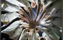 输球赢天下：常州如何在“笔画保卫战”中狂揽泼天流量