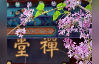 北京最潮的人，怎么都爱这个“菜古里”