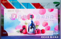 一颗杨梅里的汾酒年轻化突围